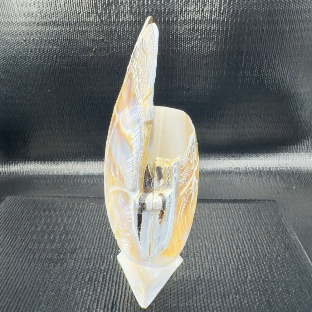 Vintage Mother of Pearl Nautalis Shell Footed Vase‎ Shiny Finish Hand Made Vase